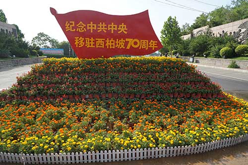 西柏坡干部培训学院党建智慧
