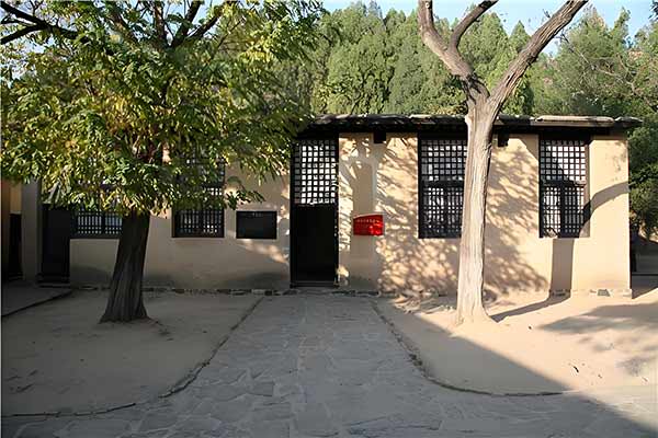 党支部组织动员力提升路径