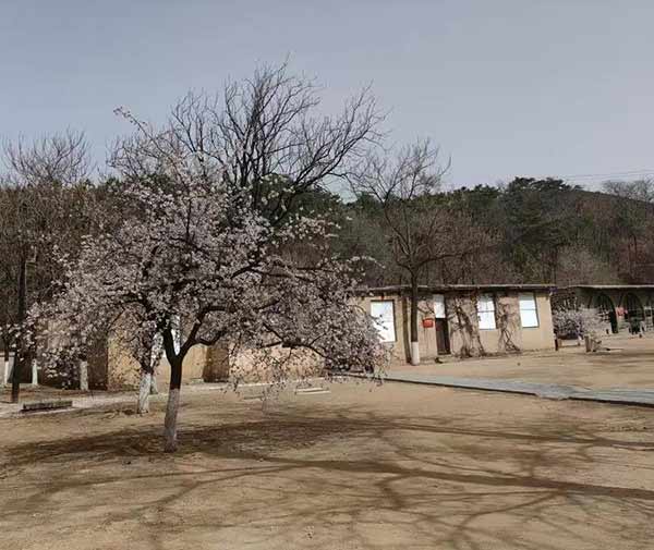 西柏坡干部培训学院深化“两个务必” 助党员守定力保清醒